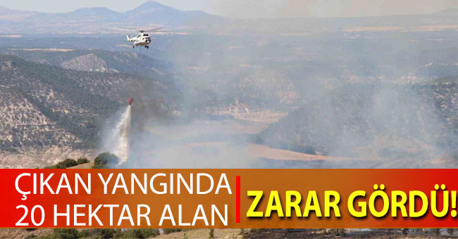 Çal’da makilik alanda çıkan yangında 20 hektar alan zarar gördü