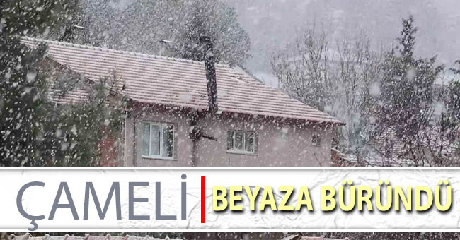 Çameli beyaza büründü