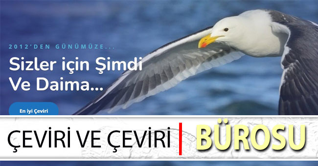 Çeviri ve çeviri bürosu