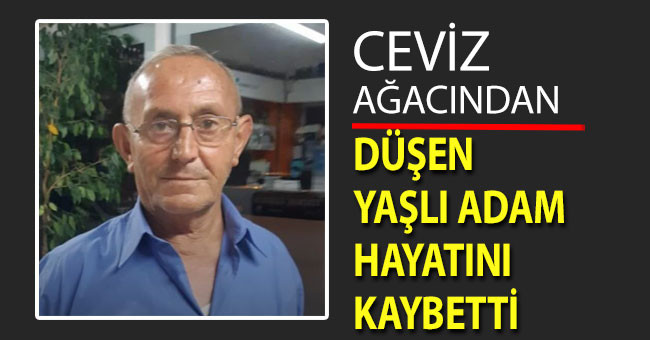 Ceviz ağacından düşen yaşlı adam hayatını kaybetti