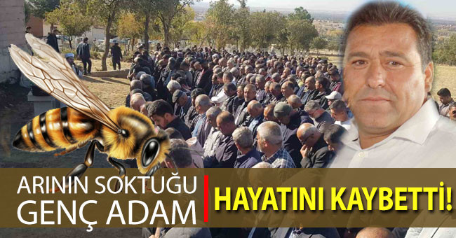 Denizli’de arının soktuğu genç adam hayatını kaybetti