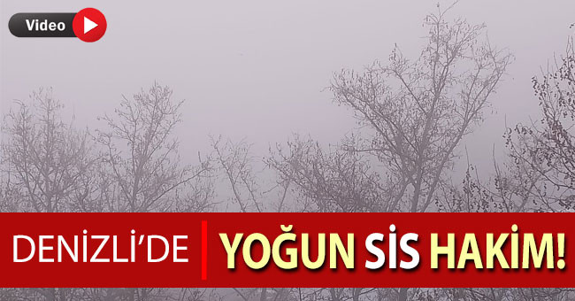 Denizli’de yoğun sis hakim