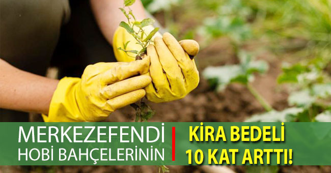 Hobi Bahçelerinin yıllık kira bedeli 10 kat arttı