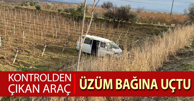 Kontrolden çıkan araç üzüm bağına uçtu