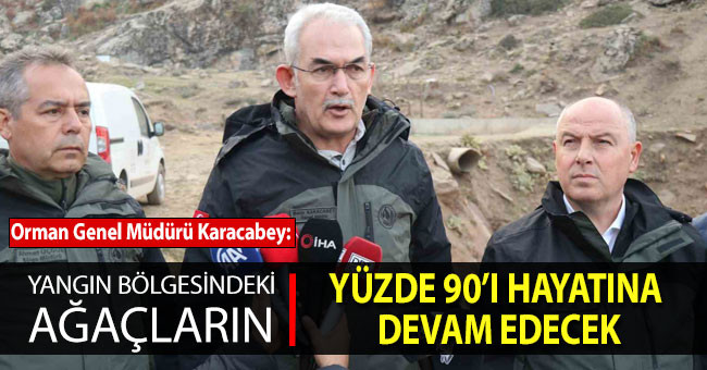 Orman Genel Müdürü Karacabey: “Yangın bölgesindeki ağaçların yüzde 90’ı hayatına devam edecek”